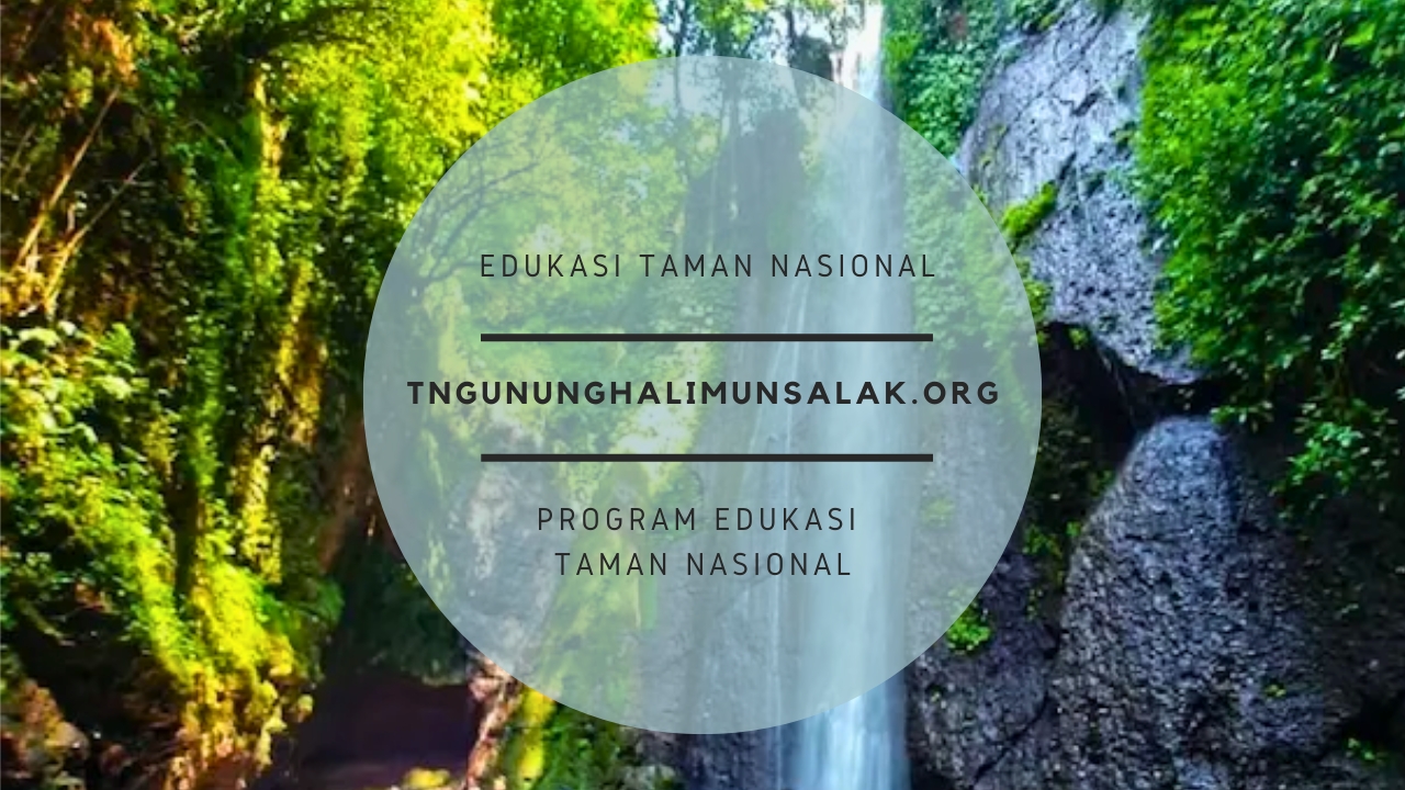 Curug Nangka Taman Nasional Gunung Halimun Salak