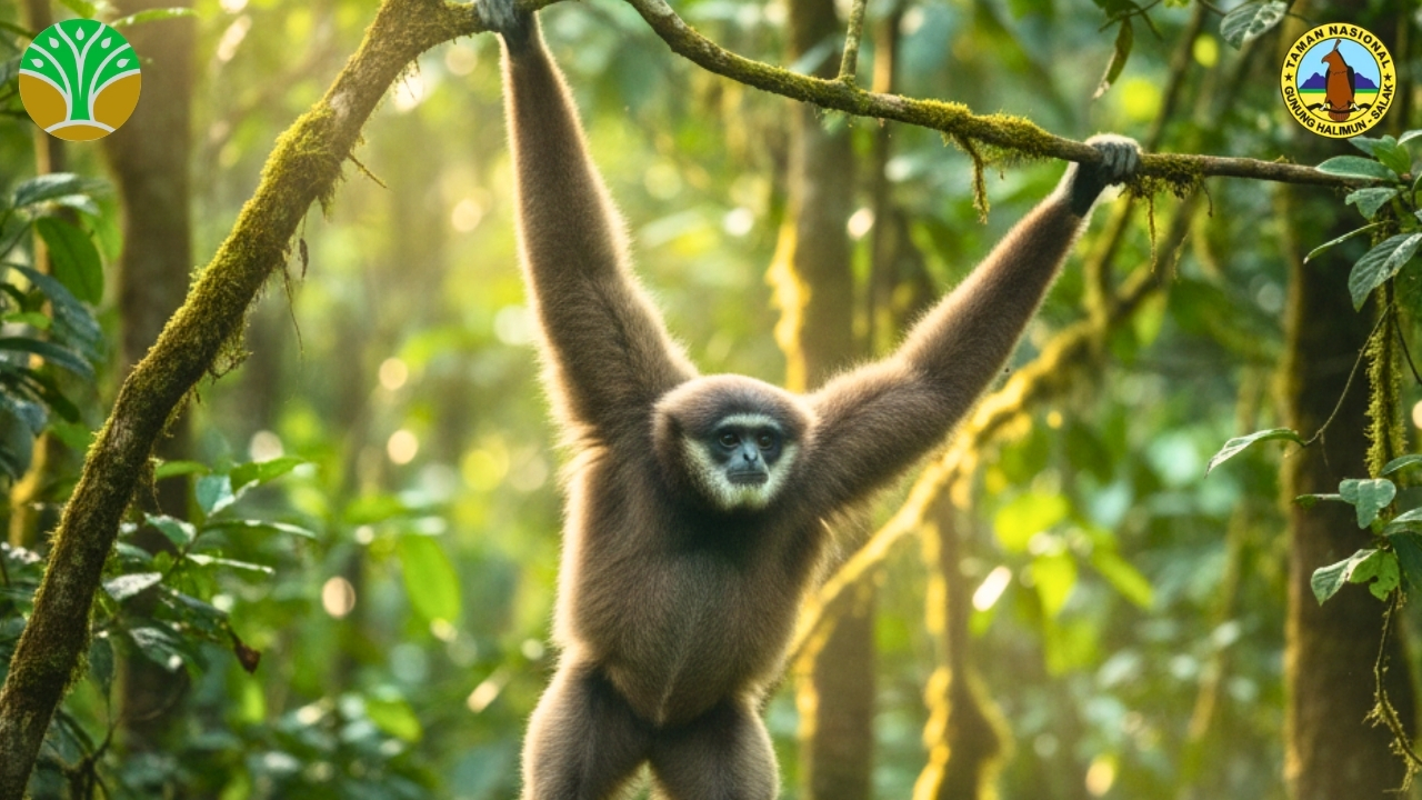 Pelestarian Habitat Spesies Terancam Punah