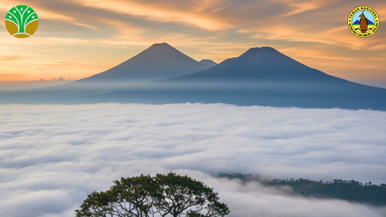 Taman Nasional Gunung Gede Pangrango - Jawa Barat
